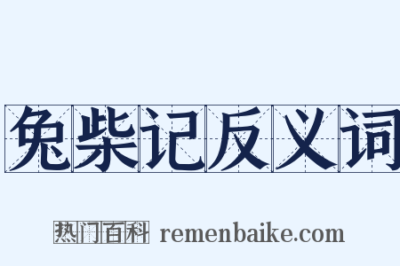 兔柴记反义词是什么意思的图片